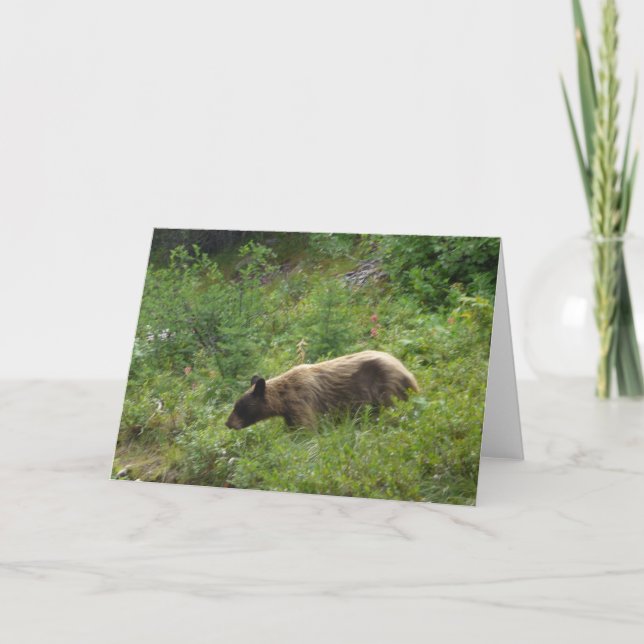 Cartão Bear Card (Frente)