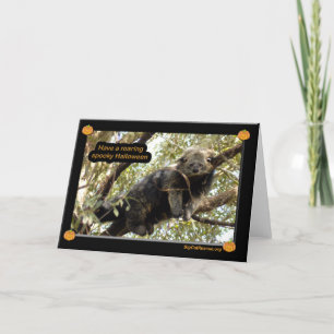 Cartão Bear cats & Binturong Halloween Card