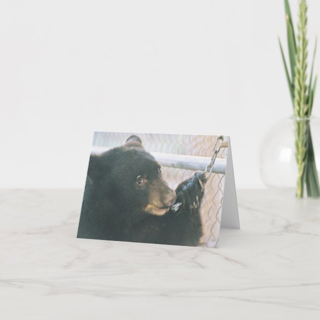 Cartão Bear Cub Note Card - Chain (Frente)
