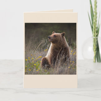 Cartão Bear Note Card - blank