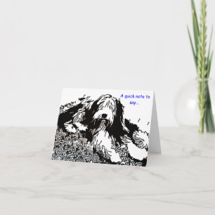 Cartão Bearded Collie Note Card