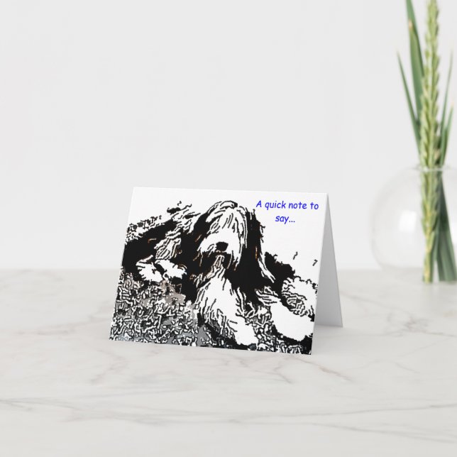 Cartão Bearded Collie Note Card (Frente)