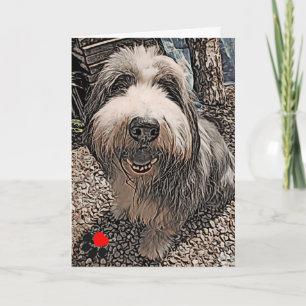 Cartão Beardie Happy Birthday Card