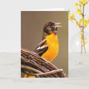 Cartão Beat Cancer Oriole