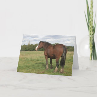 Cartão Beatrice - Shire Horse Greeting Card