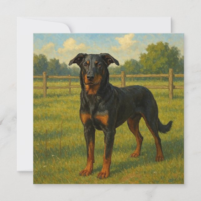 Cartão Beauceron (Frente)
