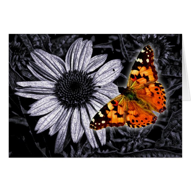 Cartão Beautifly (Frente Horizontal)