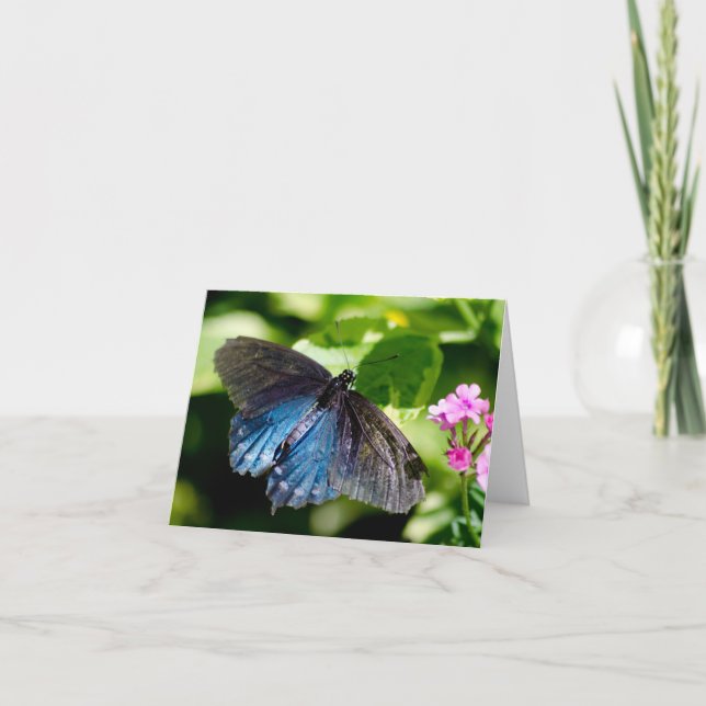 Cartão Beautiful black and blue butterfly note card (Frente)