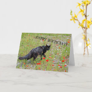Cartão Beautiful Black Cat Birthday Card!