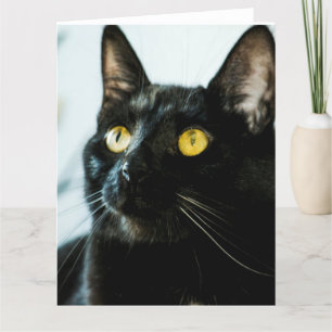 Cartão beautiful black cat large blank greeting card