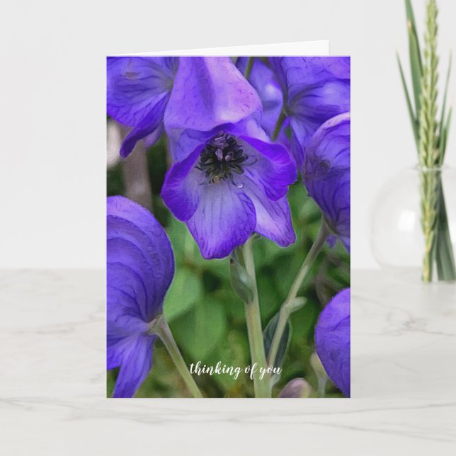 Cartão Beautiful Blue Delphiniums Sympathy Card (Frente)