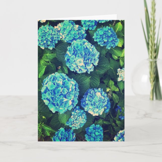 Cartão Beautiful Blue Hydrangea Blank Greeting Card (Frente)
