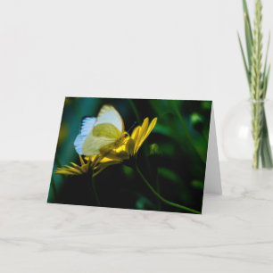 Cartão Beautiful Butterfly Blank Notecard