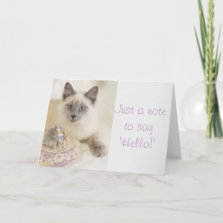 Cartão Beautiful Cat Just A Note to Say Hello Card