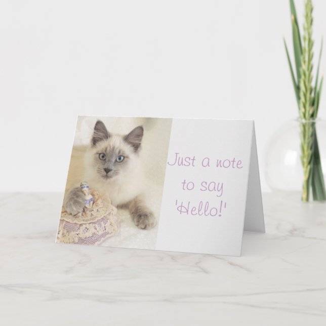 Cartão Beautiful Cat Just A Note to Say Hello Card (Frente)