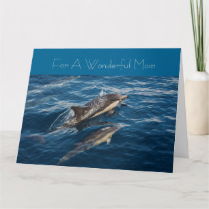 Cartão Beautiful Dolphin's Mothers' Day Greeting Card
