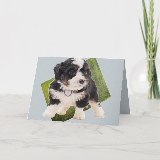 Cartão Beautiful Green Bernedoodle Puppy Art  (Frente)