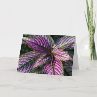 Cartão Beautiful greeting card