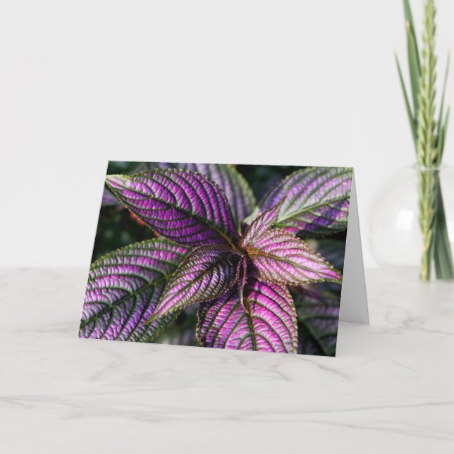 Cartão Beautiful greeting card (Frente)