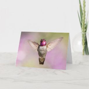 Cartão Beautiful Hummingbird Sympathy