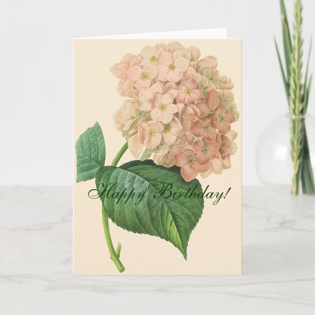 Cartão Beautiful Hydrangea Flower Birthday (Frente)