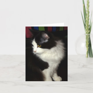 Cartão Beautiful Kitty note card