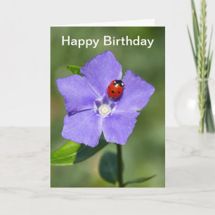 Cartão Beautiful Ladybug on Periwinkle Birthday Card