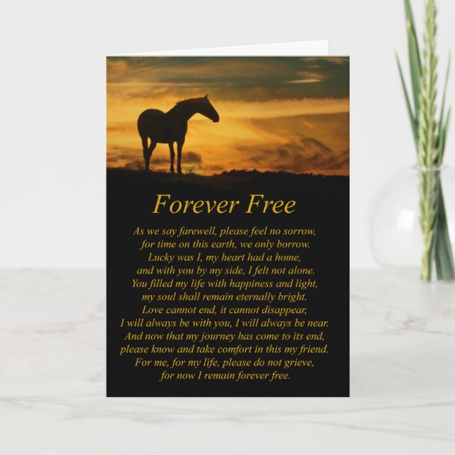 Cartão Beautiful Loss of Horse Sympathy Card (Frente)