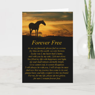 Cartão Beautiful Loss of Horse Sympathy Card