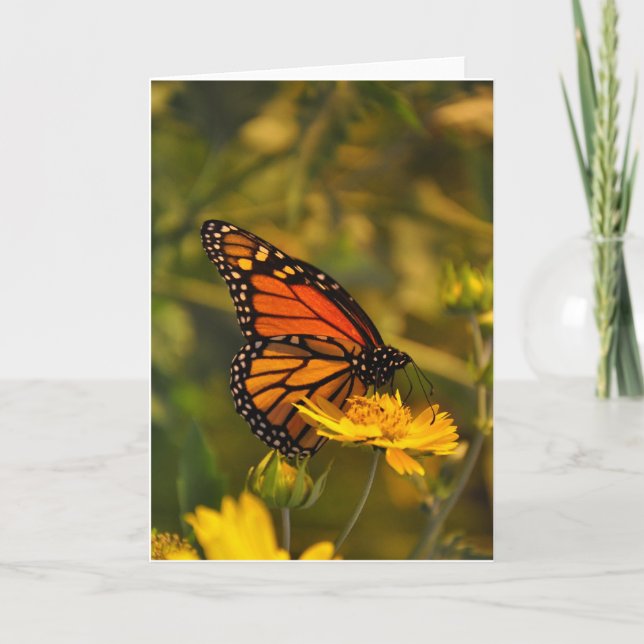 Cartão Beautiful Monarch Butterfly Blank Inside Note Card (Frente)