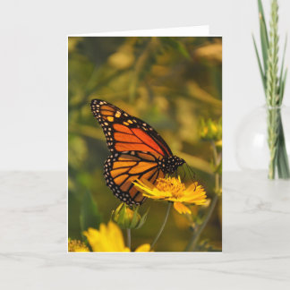 Cartão Beautiful Monarch Butterfly Blank Inside Note Card