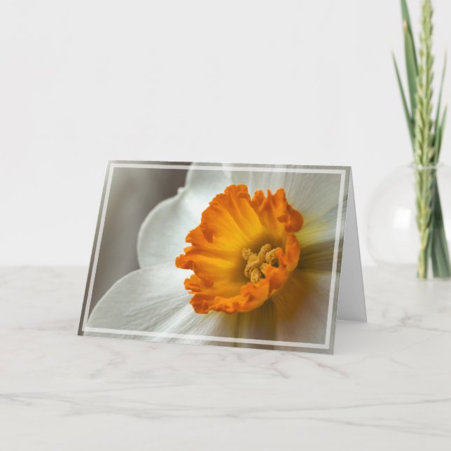 Cartão Beautiful Narcissus Bloom Macro (Frente)