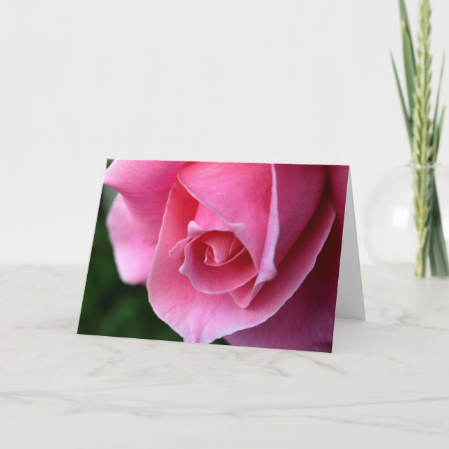Cartão Beautiful Pink Rose Greeting Card (Frente)