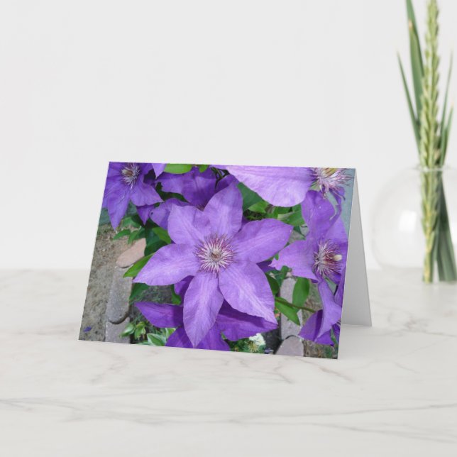 Cartão Beautiful Purple Flower Blank Greeting Card (Frente)