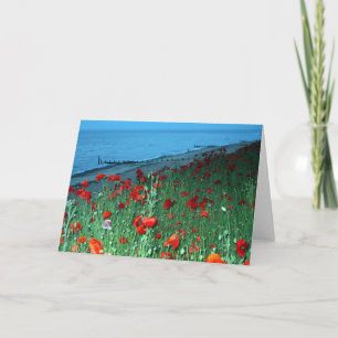 Cartão Beautiful Red Poppies Southwold Seafront Photo