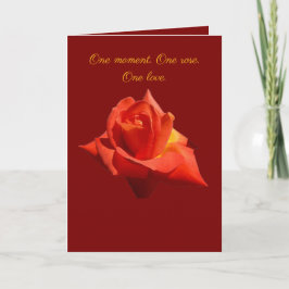Cartão Beautiful Red Rose Isolated Photograph Vector