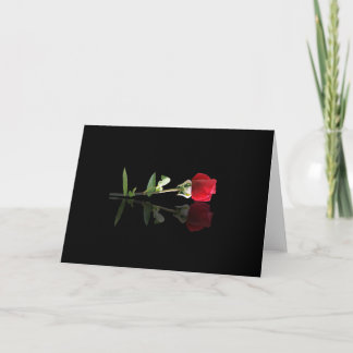 Cartão Beautiful Red Rose Note Card, Blank Greeting Cards