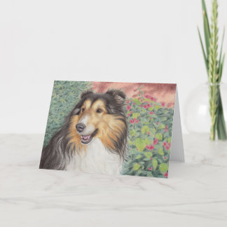 Cartão Beautiful Sheltie Card
