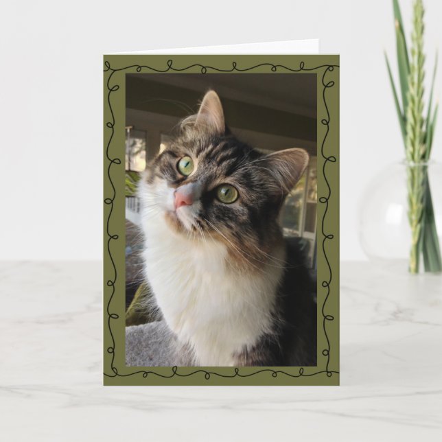 Cartão Beautiful Siberian Note Card (Frente)