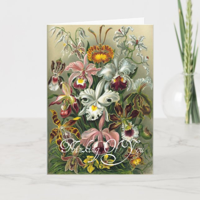Cartão Beautiful Vintage Flower Design Greeting Card (Frente)
