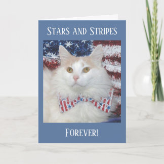 Cartão Beautiful white and orange cat patriotic card