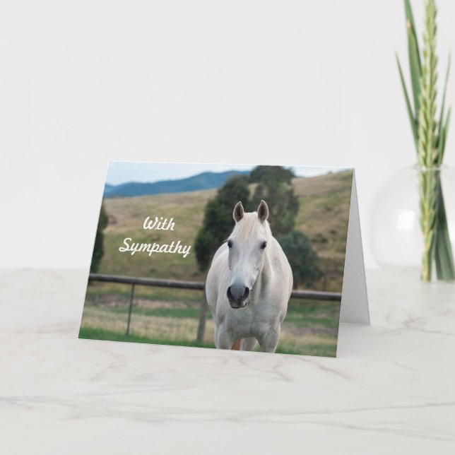 Cartão Beautiful White Horse Appaloosa Photo Sympathy (Frente)