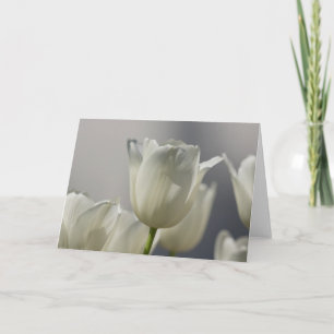 Cartão Beautiful White Spring Tulips