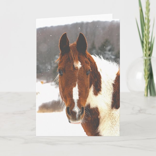Cartão Beautiful Winter Horse Greeting Card (Frente)