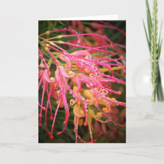 Cartão Beauty After the Rain..