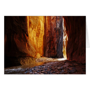 Cartão Beauty The Narrows Zion National Park Vazio Utah