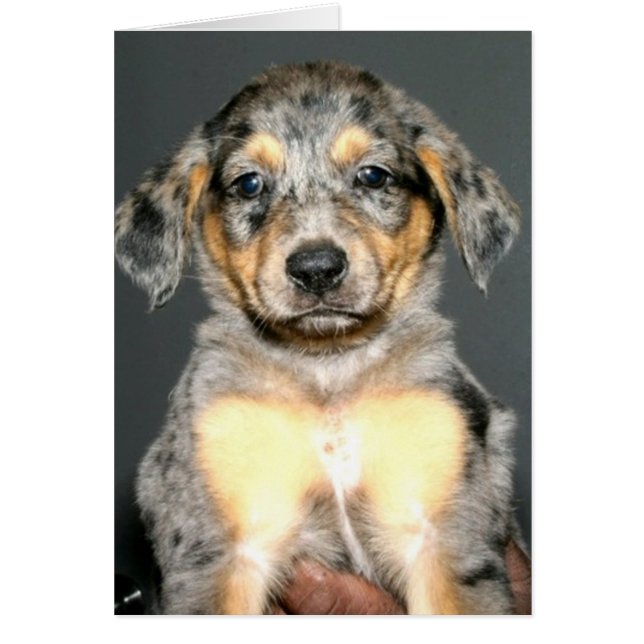 Cartão Bebê (Frente)