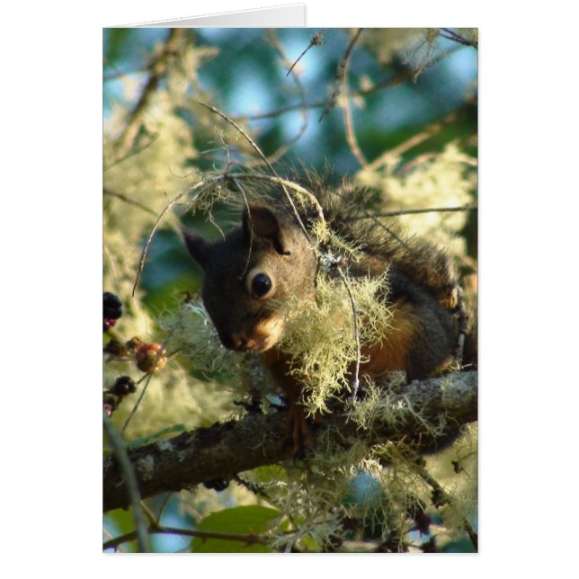 Cartão Bebê 2009 do esquilo (Frente)