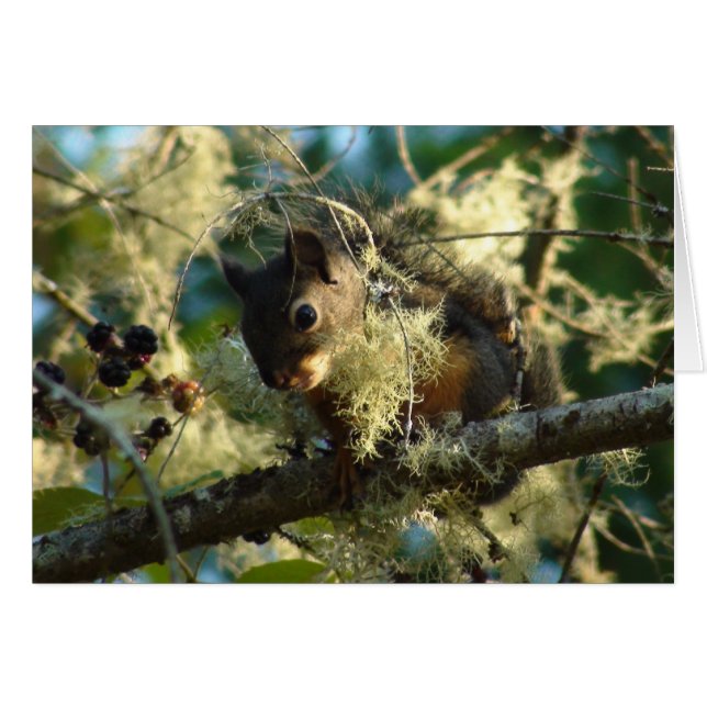 Cartão Bebê 2009 do esquilo (Frente horizontal)
