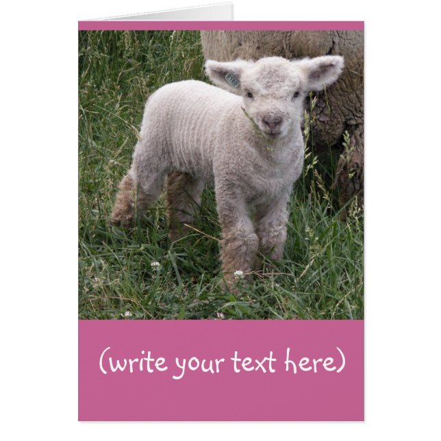 Cartão Bebê Adorável (Frente)